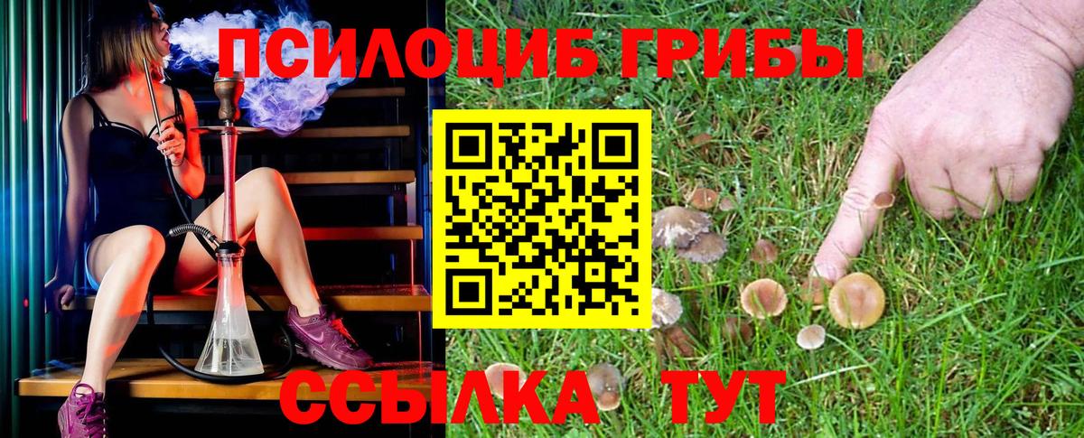 Псилоцибиновые грибы MAGIC MUSHROOMS  Вход с VPN  Оренбург  Псилоцибиновые грибы мицелий 